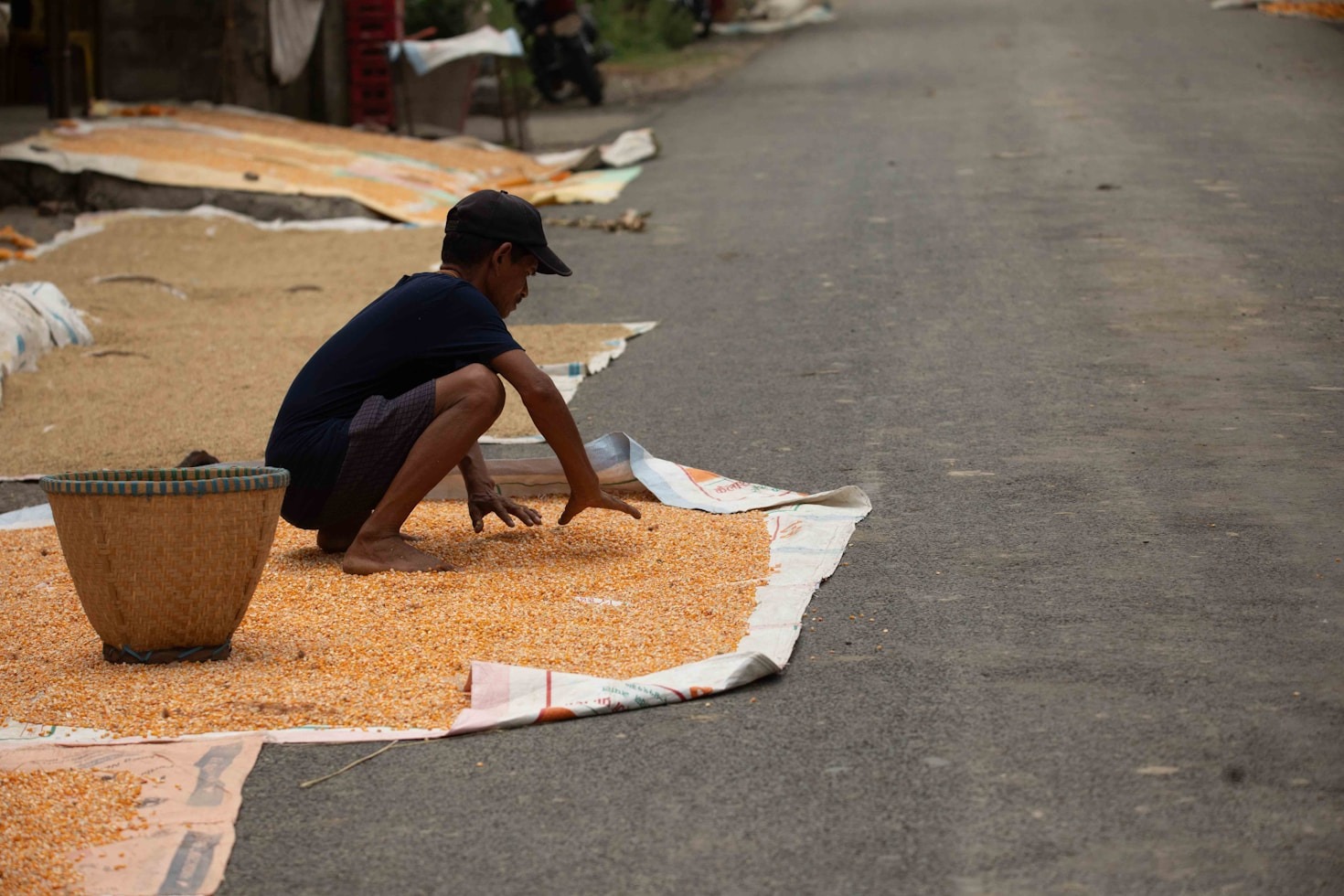 Seasonal Planting Tips for Alberta’s Climate